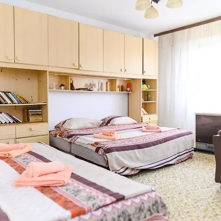 Vila Vojvodanka Pensjonat Sokobanja