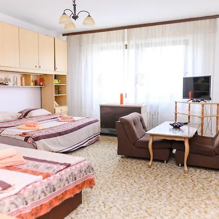 Vila Vojvodanka Pensjonat 3*