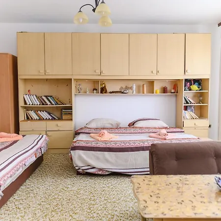 Vila Vojvodanka Pensjonat Sokobanja