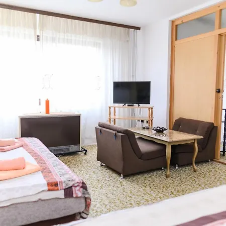 Pensjonat Vila Vojvodanka Sokobanja